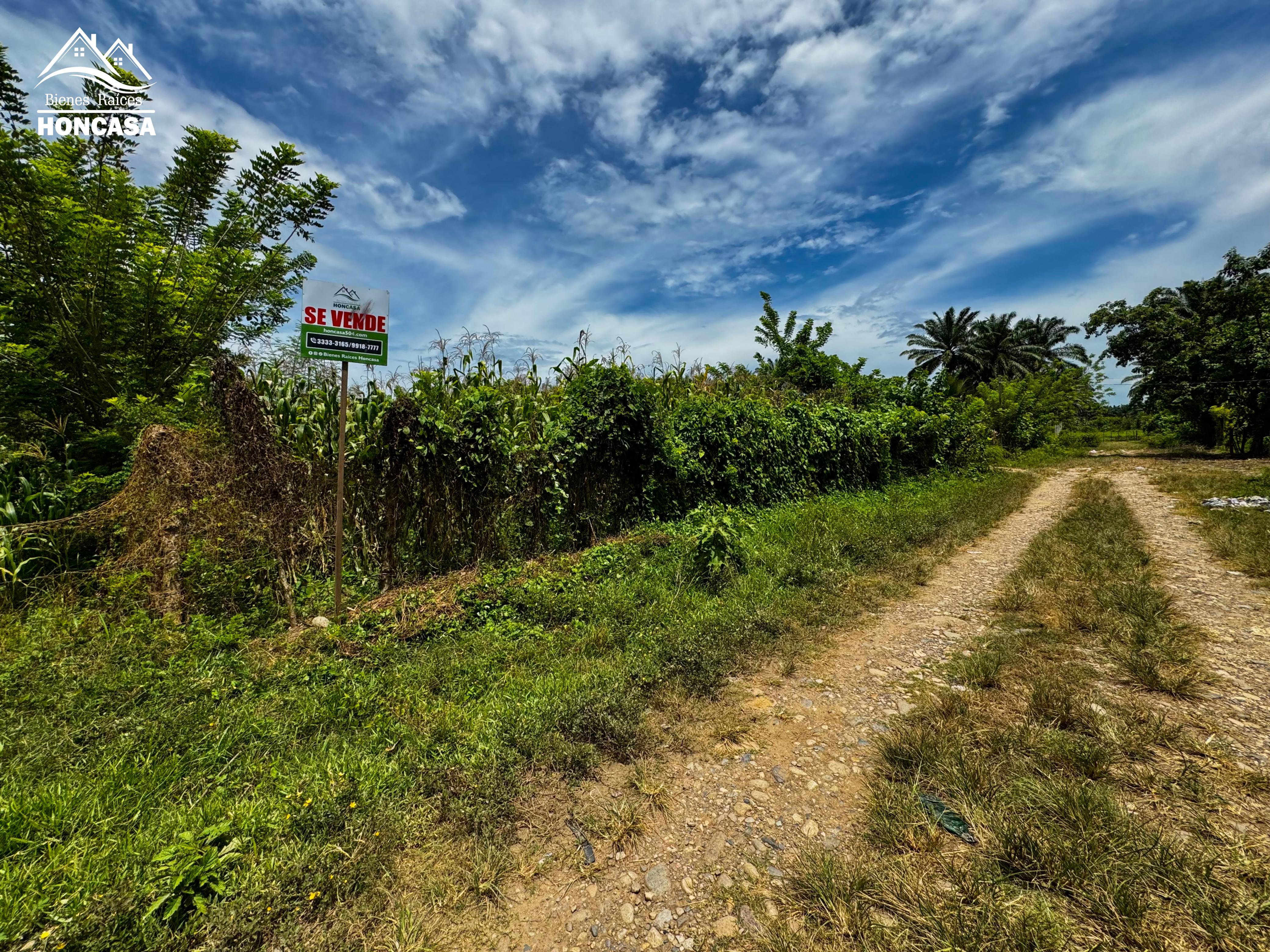 En venta terreno de esquina, COL. Satélite, Tocoa, Colon